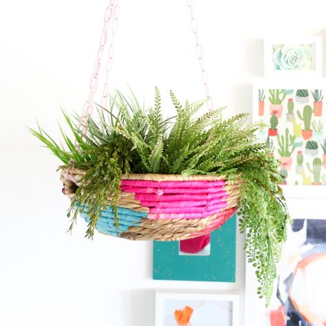 Hanging Basket Diy, Basket Plant, Diy Hanging Planter, Basket Diy, Colorful Baskets, Hanging Flower Baskets, Plants For Hanging Baskets, Basket Planters, Planter Ideas