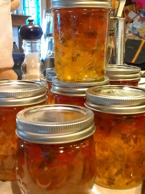 Hot Pepper Tequila Jelly « Eliot's Eats Moonshine Jelly Recipe, Habenero Jelly, Best Pepper Jelly Recipe, Pepper Ideas, Apple Beer, Dehydrator Recipes Fruit, Garden Canning, Jelly Of The Month Club, Habanero Jelly