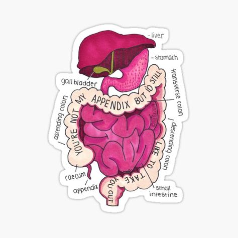 Nursing Wallpaper, Pickup Line, Medical Stickers, Medicine Notes, Science Stickers, Nursing Books, Medical School Inspiration, Medical Anatomy, Science Jokes