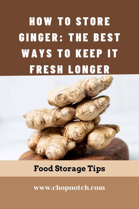 Ginger is a versatile ingredient that can be used in both savory and sweet dishes. It can also be made into teas and infusions. Ginger root is popular all over the world and it has a fragrant, distinctive aroma and taste. If you know how to store ginger, you will be tempted to find new, appealing recipes to include it in. But Do You Know How To Store Ginger? Find Here The Best Ways To Keep It Fresh Longer! #FoodStorage #GingerStorage #Ginger#VegetableStorage How To Cut Ginger, Eating Raw Ginger, Ginger Root Recipes, Storing Fresh Ginger, How To Store Ginger, Vacation Cocktails, Ginger Root Tea, Ginger Uses, Raw Ginger