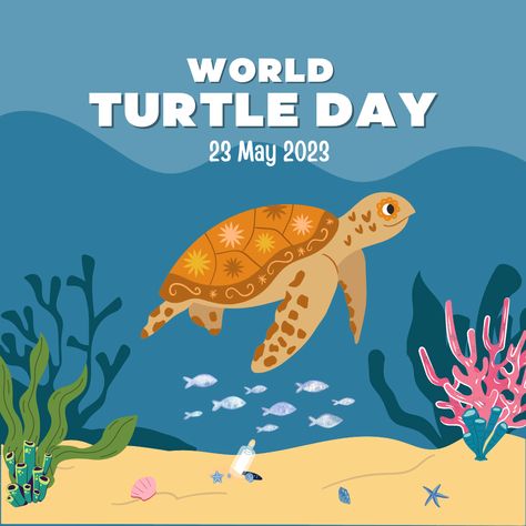 World Turtle Day Template 🐢 World Turtle, World Turtle Day, Turtle Day, Day Template, Turtle Design, Instagram Post Template, Post Templates, Tortoise, Blue White