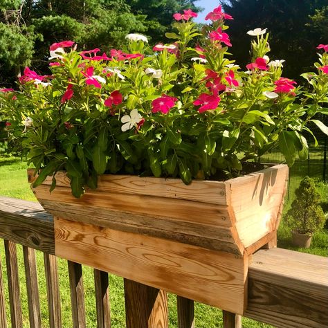 Balcony Planter Boxes, Deck Railing Planters, Balcony Flower Box, Lumber Sizes, Planter Box Plans, Deck Planters, Cedar Planter Box, Cedar Deck, Cedar Lumber