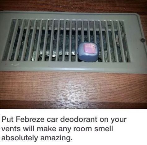 Perfect Apartment, Dorm Room Hacks, Room Hacks, Organizing Hacks, Dorm Life, Mobil Home, Room Smells, Apartment Decorating, College Dorm Rooms