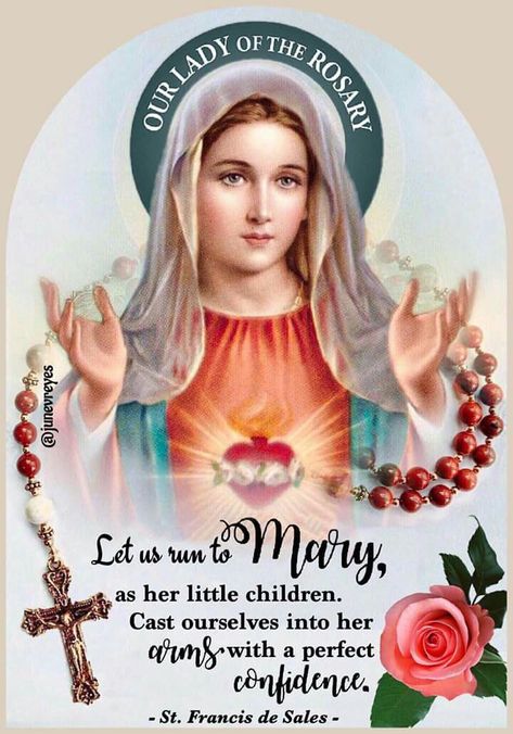 Our Lady of the Rosary Our Lady Of Rosary, Our Lady Of The Rosary, Lady Of The Rosary, مريم العذراء, Jesus Mother, Mother Mary Images, Blessed Mary, Catholic Pictures, Pictures Of Christ