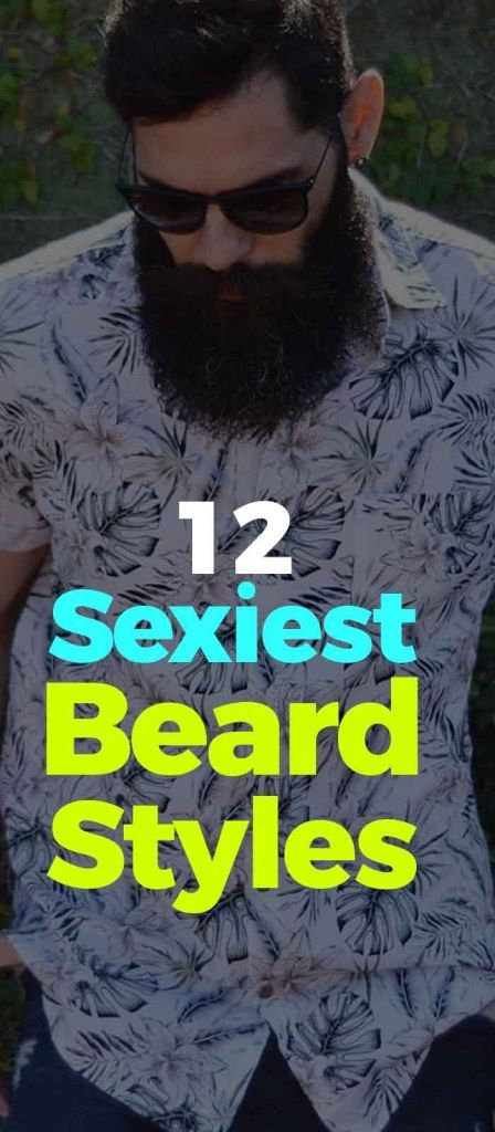 Short Hair Long Beard, Big Beard Styles, Modern Beard Styles, New Beard Style, Beard Trend, Beard Maintenance, Short Hair With Beard, Beard Cuts, Long Beard Styles