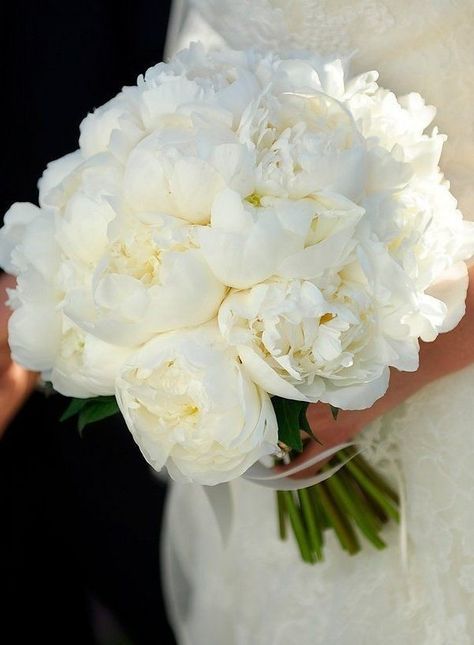 Wedding Flower Guide, Santa Fe Wedding, Bridal Bouquet Flowers, White Bridal Bouquet, Flower Guide, White Wedding Bouquets, Funny Wedding, White Wedding Flowers, Wine Wedding