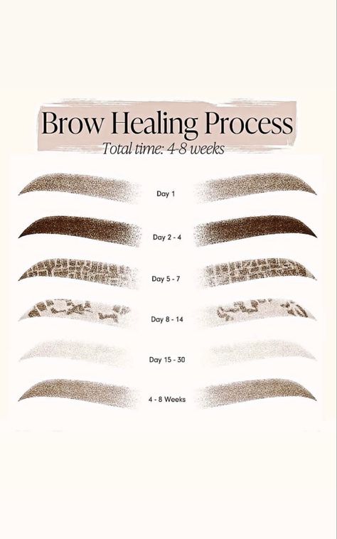 Microblading Eyebrows Training, Microblading Healing Process, Brow Quotes, Mircoblading Eyebrows, Permanent Makeup Studio, Tattoo Healing Process, Tattoo Healing, Ombre Eyebrows, Permanente Make-up