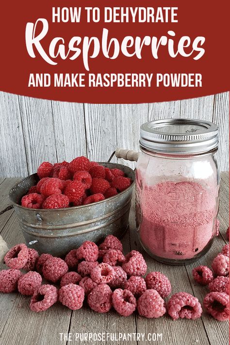 Preserve Raspberries throughout the year by dehydrating them and powdering. Here are easy steps to drying and powdering raspberries: Dehydrate Raspberries, Raspberry Powder, Yogurt Oatmeal, Food Dehydration, Plat Vegan, Freeze Dried Raspberries, Dried Raspberries, Freeze Dried Fruit, Dehydrated Fruit