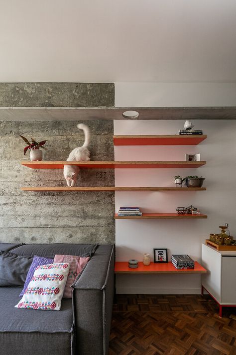 Electric Interior, Cat Climbing Wall, Cat Furniture Design, Cat Wall Shelves, Cat Wall Furniture, Cat Shelves, Cat Room, Cat Friendly Home, Cat Decor