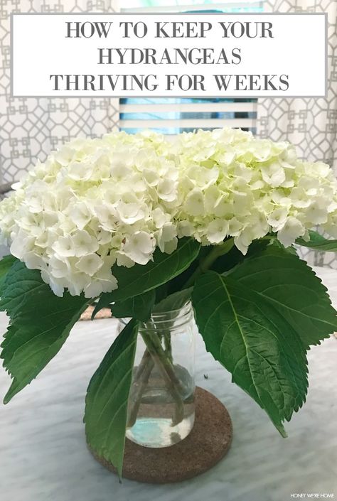 A blog about home decor and organization. Pruning Hydrangeas, Hydrangea Flower Arrangements, Hydrangea Landscaping, Hydrangea Vase, Hydrangea Care, Dried Hydrangeas, White Hydrangeas, Growing Hydrangeas, Hydrangea Bouquet