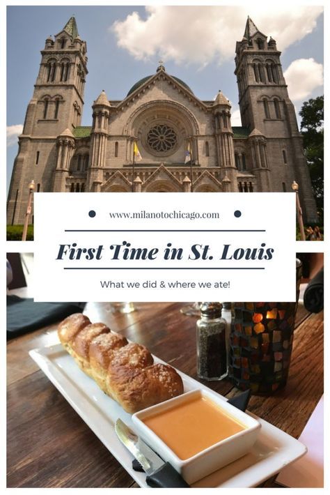 Things To Do In Saint Louis, St Louis Travel, St Louis Food, Travel Missouri, Quincy Illinois, Missouri Travel, Chicago Things To Do, Saint Louis Missouri, Usa Destinations