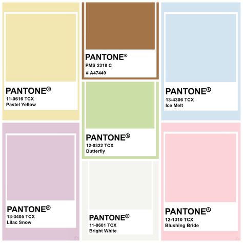 Coquette Colors Palette, Croquette Color Palette, Color Palette Girly, Bridgerton Color Palette, Coquette Quince, Coquette Color Palette, 2023 Palette, My Colour Palette, Pantone 2024