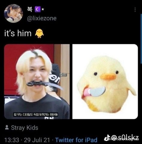 Stray kids skz funny Aesthetic Spotify Playlist Covers Kpop, Kpop Looks, Skz Fits, Felix Meme, Stay Kids, Skz Memes, Kids Mood, Funny Kpop Memes, Skz In Cute