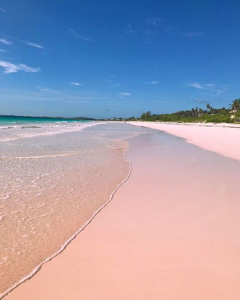 Turns out nature started the millennial pink trend. Who knew? Pink Sand Beach Bahamas, Harbor Island Bahamas, Beach Bahamas, Bahamas Honeymoon, Pink Paradise, Bahamas Vacation, Pink Sand Beach, Harbor Island, Harbour Island