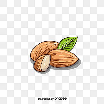 nutlet,dried fruit,nut,almond,products,kind,dried,fruit,almond clipart,products clipart,kind clipart Fruit Logo Design Ideas, Fruit Logo Design, Fruit Clipart, Fruit Logo, Fruits Drawing, Fruit Illustration, Minimalist Artwork, Cute Fruit, Emoji Wallpaper