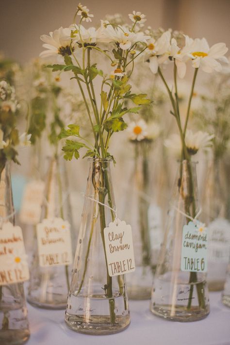 petite vase escort cards, photo by Yuna Leonard Photography http://ruffledblog.com/handcrafted-wedding-at-franciscan-gardens #seatingchart #escortcards Daisy Wedding Theme, Daisy Centerpieces, Franciscan Gardens, Daisy Baby Shower, Daisy Party, Daisy Wedding, Diy Wedding Flowers, Cheap Wedding, Birthday Flowers