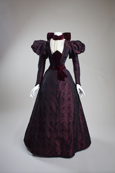 San Diego Style Purple Victorian Dress, 1890s Fashion, 1800s Fashion, Afternoon Dress, 19th Century Fashion, Victorian Clothing, Antique Dress, Vintage Gowns, Antique Clothing