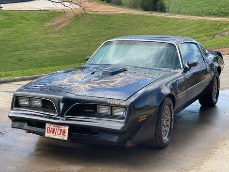 1977 Pontiac Trans Am 1977 Pontiac Trans Am Sportscar Black Rwd Automatic Price : $ 10,000 Category : Trans Am Condition : Used Location: 356**, Killen,AL,USA Visit listing » Pontiac Trans Am 1977, 1977 Trans Am, Trans Am For Sale, Pontiac Trans Am, Hatchback Cars, Hybrid Car, Trans Am, Trucks For Sale, Used Cars