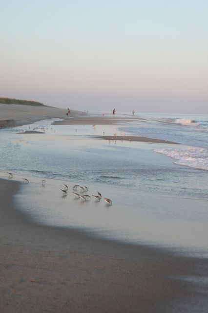 Old Money Hamptons Aesthetic, Hamptons Summer Aesthetic, Hamptons Beach, Hamptons Summer, Westhampton Beach, Mill House, Hampton Beach, York Travel, I Love The Beach