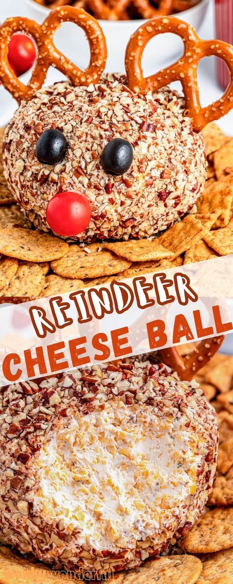 This REINDEER CHEESE BALL is the cutest holiday appetizer and super easy to prepare. A basic cheesy ranch cheese ball decorated to look like Rudolph the Red Nosed Reindeer. Reindeer Droppings Recipes, Rudolph Cheese Ball, Reindeer Cheese Ball, Rudolph Snacks, Cookie Cheese Ball, Cheeseball Turkey, Cheese Ball Snowman, Christmas Hor D'oeuvres, Christmas Tree Cheese Ball