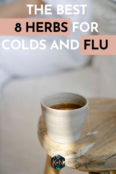 Herbs For When Youre Sick, Best Herbs For Colds, Herbs For Fever, Herbs For Sickness, Herbs For Colds, Natural Cold Sore Remedy, Fitness Ebook, Lemon Balm Tea, Survival Project