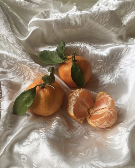 One Piece Aesthetic, Decoration Photo, Orange Aesthetic, Orange Tree, Orange Fruit, Jolie Photo, Aesthetic Photo, Aesthetic Food, Summer Aesthetic