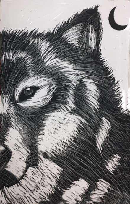 Everything an art teacher needs to know about scratchboard Charcoal Art Lesson Elementary, Scratchboard Art Lessons Middle School, Middle School Animal Art Projects, Scratchboard Art Lessons, Scratchboard Techniques, Scratchboard Artists, Teacher Needs, Teaching Drawing, Unusual Facts