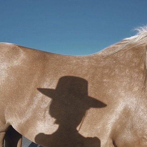 Foto Cowgirl, Cowboy Aesthetic, Inheritance Games, Cowgirl Aesthetic, Western Aesthetic, Hunter Jumper, Yee Haw, Ranch Life, Coastal Cowgirl