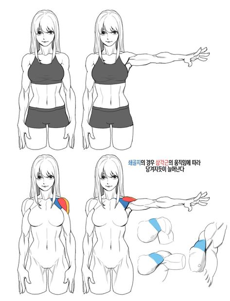 Female Anatomy Reference, Anatomy Tutorial, Human Anatomy Drawing, Siluete Umane, Human Figure Drawing, Human Anatomy Art, Anatomy Sketches, Body Reference Drawing, 캐릭터 드로잉