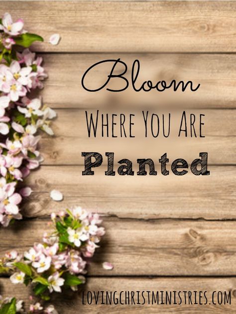 Womens Ministry Events, Ladies Brunch, Christian Activities, The Language Of Flowers, Bloom Where Youre Planted, Round Robin, Womens Retreat, Bloom Where You Are Planted, Women's Ministry