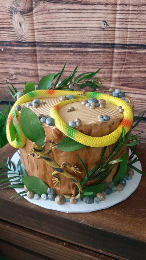 Rain Forest Birthday Cake, Rainforest Cake Birthday, Swamp Birthday Cake, Reptile Themed Birthday Cake, Rainforest Cake Ideas, Lizard Birthday Cake, Snake Cakes For Boys, Reptile Cakes For Boys, Snake Cakes For Kids