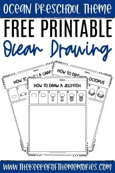 These Free Printable Ocean Directed Drawing for Kids worksheets are perfect for practicing fine motor skills and so much more! Don't forget to add them to your next ocean preschool theme! #ocean #beach #drawingforkids #directeddrawing #preschool #kindergarten Ocean Animals Kindergarten Activities, Ocean Kids Activities, How To Draw Ocean Animals, Ocean Preschool Activities, Ocean Preschool Theme, Ocean Animal Activities, Ocean Theme Kindergarten, Ocean Kindergarten, Directed Drawing For Kids