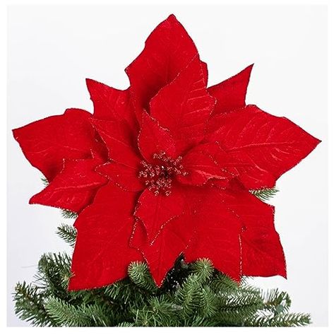 Centerpiece Wreath, Red Poinsettia, Seasonal Displays, Holiday Flower, Festive Look, Poinsettia Flower, Christmas Tree Topper, Christmas Poinsettia, Christmas Flowers