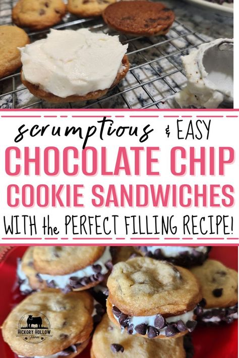 These chocolate chip sandwich cookies are so scrumptious, this will become a favorite recipe! Perfect for a special occasion dessert, but simple enough to make and assemble! And the buttercream frosting in the perfect balance to the chocolate chip cookie sandwiches! Perfect cookie recipe! Cream filled cookie! Chocolate Chip Cookie Sandwich, Chocolate Chip Sandwich Cookies, Chip Sandwich, Buttercream Frosting Cookies, Chocolate Chip Frosting, Cream Filled Cookies, Sandwich Cookies Filling, Cookie Sandwich Recipes, Best Buttercream Frosting