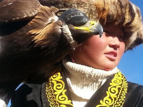 Eagle Huntress, Pictures Of People, Birds Of Prey, Mongolia, Eagles, Hair Wrap, Media, Hair Styles, Photography