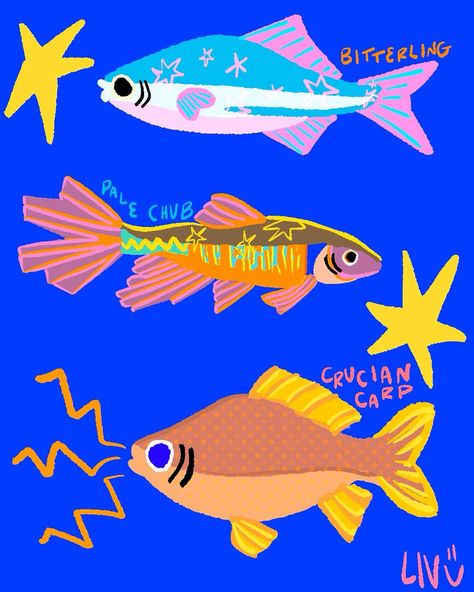 I’m drawing every fish in animal crossing, here’s the first set ⭐️ ⭐️ ⭐️ #animalcrossing #fish #fishart Cat With Fish Drawing, Cool Fish Drawings, Fish With Light On Head, Fish Facing Forward, Colorful Fish Art, Fish Aesthetic Drawing, Sardines Drawing, Fish Illustration Cute, Colorful Fish Drawing