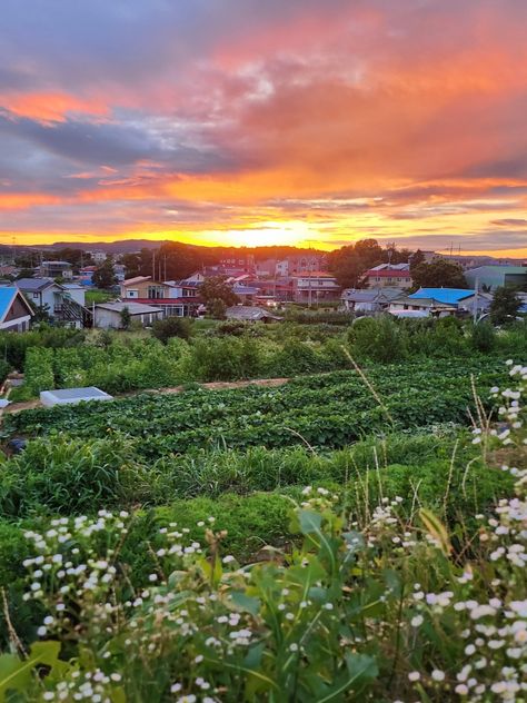 Countryside Of Japan, South Korean Countryside, Korean Countryside Aesthetic, Korean Countryside House, Korea Countryside Aesthetic, Korean Village Aesthetic, Japanese Countryside Aesthetic, Japan Countryside Aesthetic, South Korea Countryside