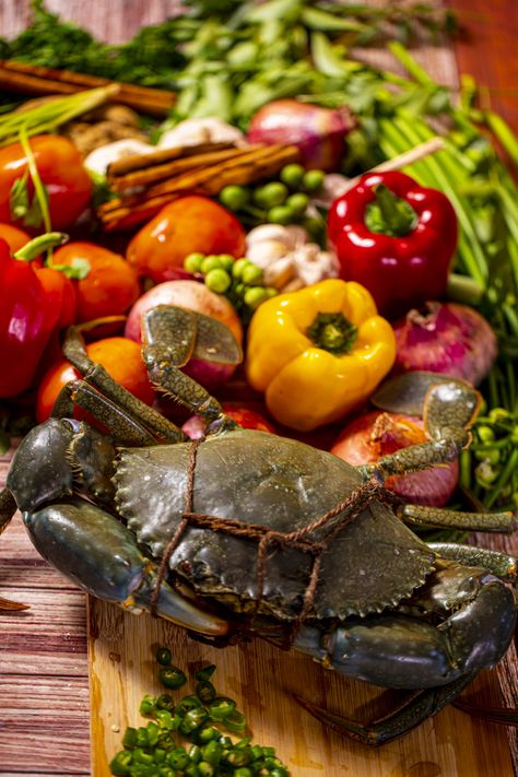 Let's Make Yummy & Tasty | Stay Connected With Le Tasty Kitchen | Easy Portal For Learn Secret Recipes  𝗗𝗲𝘀𝗰𝗿𝗶𝗽𝘁𝗶𝗼𝗻: Giant mud crab 🦀 is a species of crab found in the estuaries and mangroves of Africa, Australasia and Asia. Fresh mud crabs are so unique and meaty when it is flavoured with some spices 🌶️🥘.  #crabcurry #crabmasala #mudcrab #Giantcrabrecipe #crabrecipe #crabmasalafry #crabfry #EasyRecipe #trending #letastykitchen #food #foodie #yummy #crabpot #mangroves #preparing Mud Crab, Giant Crab, Crab Curry, Crab Fries, Crab Recipes, Tasty Kitchen, Dinner Is Served, Secret Recipe, Cook At Home