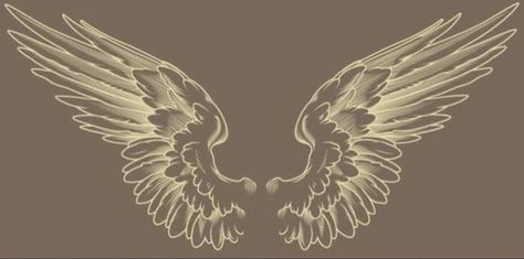 Angel Wing Anatomy, Wings Sketch Reference, Angle Wings Draw, Angel From Behind, Wings Art Reference, Broken Wings Angel, Wings From Behind, Angel Wings Sketch, Drawing Angel Wings