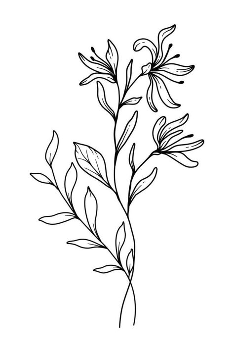 Honeysuckle Line Art. Honeysuckle outline Illustration. June Birth Month Flower. Honeysuckle outline isolated on white. Hand painted line art botanical illustration. Honeysuckle Drawing Tattoo, Honeysuckle Tattoo Traditional, Poppy And Honeysuckle Tattoo, Honeysuckle Line Drawing, Traditional Honeysuckle Tattoo, Aries Honeysuckle Tattoo, Honeysuckle Drawing Simple, Dainty Honeysuckle Tattoo, Fine Line Honeysuckle Tattoo