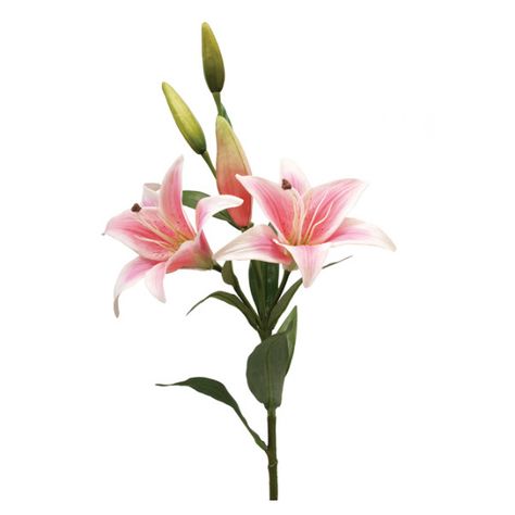 Tiger Lily Pink Flowers Single Stem ($9.26) ❤ liked on Polyvore featuring home, home decor, floral decor, flower home decor, pink home decor and flower stem Pink Home Accessories, Flowers Single, Artificial Hanging Baskets, Flower Home Decor, Cherry Blossom Art, Stargazer Lily, Flower Icons, Floral Border Design, Flower Stem