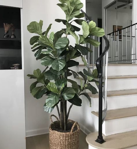 Fake Fiddle Leaf Fig Tree Decor, Faux Fig Tree Living Room, Large Fiddle Leaf Tree Living Room, Fiddle Fig Tree Indoor, Indoor Fig Tree, Indoor Plants Decor Living Room Corner, Artificial Plants Indoor Living Rooms, Faux Trees Indoor Living Room, Big Fake Plants