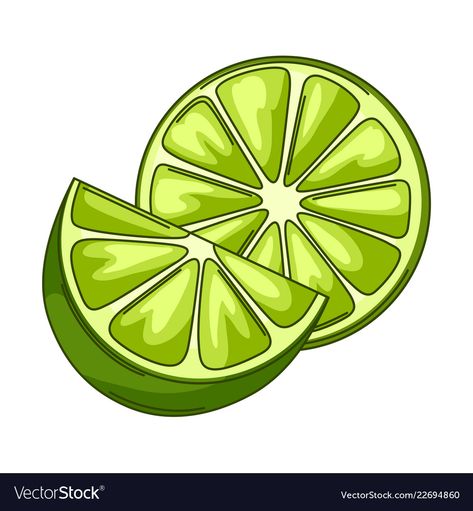 Citrus Fruits Drawing, Lime Slice Drawing, Lime Drawings Fruit, Lime Drawings Simple, Lime Sketch, Matcha Sweater, Lime Drawings, Citrus Drawing, Fruit Illustration Art