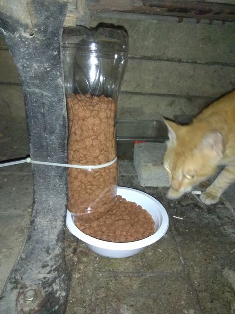 Street Cat food dispenser / feeder - DIY Outdoor Cat Feeder, Cat Feeder Station, Cat Feeder Diy, Food Containers Design, Cat Food Station, Cat Food Dispenser, Diy Cat Food, Cat Feeding Station, Homemade Cat Food