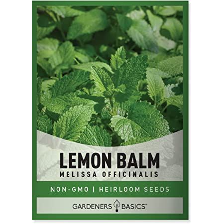 Lemon Balm Plant, Dog Safe Plants, Herbal Tea Garden, Tea Before Bed, Melissa Officinalis, Lemon Balm Tea, Healthy Digestive System, Perennial Herbs, Herb Seeds