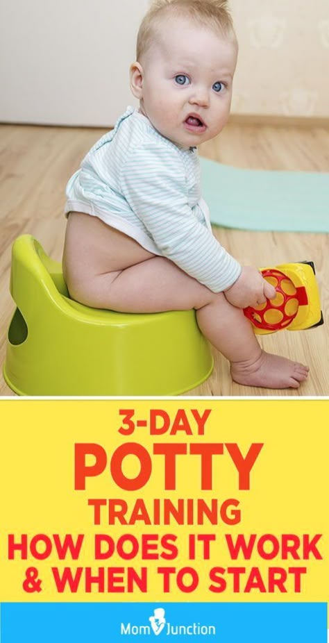 MomJunction tells you about the efficient three-day potty training routine. Here, we will guide you through the training process and clear any doubts you may have about it. #toddlers #pottytraining  #adviceformoms #motherhood #babies Best Potty Training Seat, Three Day Potty Training, Potty Training Girls, Toddler Potty, Potty Training Boys, Toddler Potty Training, Potty Training Tips, Baby Life Hacks, Baby Puree