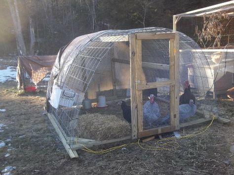 Show Me Your Turkey Runs/coops/enclosures! Turkey Shelter, Turkey Coop, Quick Turkey, Chickens For Sale, Grow House, Farming Ideas, Hoop House, Duck Coop, Turkey Bird