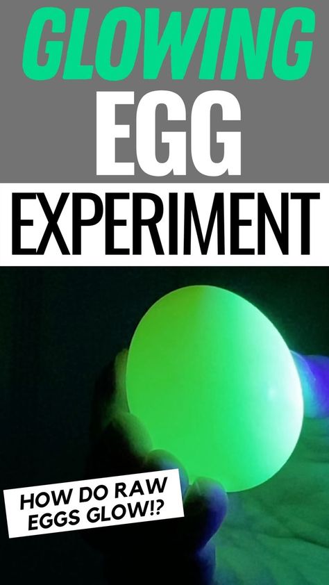 Raw eggs glow with this cool experiment. Bouncy Egg Experiment, Light Science Experiments, Egg Experiment, Light Experiments, Egg Experiments, Stem Activities Preschool, Raw Eggs, Light Science, Science Experiment For Kids