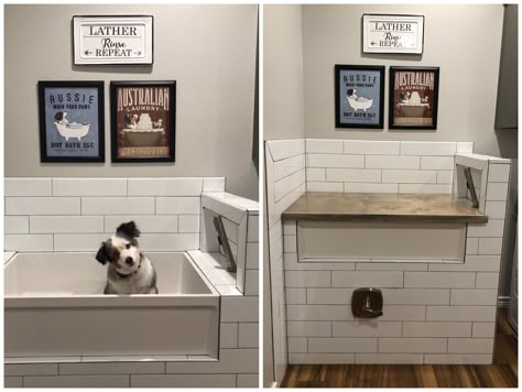 Dog Grooming Station In Laundry Room, Sink And Dog Wash Combo, Dog Wash Station With Sink, Mop Basin Dog Wash, Dog Wash Basin, Homemade Dog Wash Station, Utility Sink Dog Wash Combo, Small Dog Washing Station, Utility Room With Dog Wash