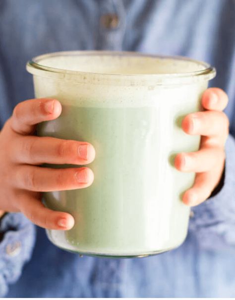 Dairy Replacements, Nutrient Dense Smoothie, How To Make Green, Yummy Green Smoothie, Dairy Free Smoothies, Milk Dairy, Sweet Smoothies, Green Milk, Too Much Sugar